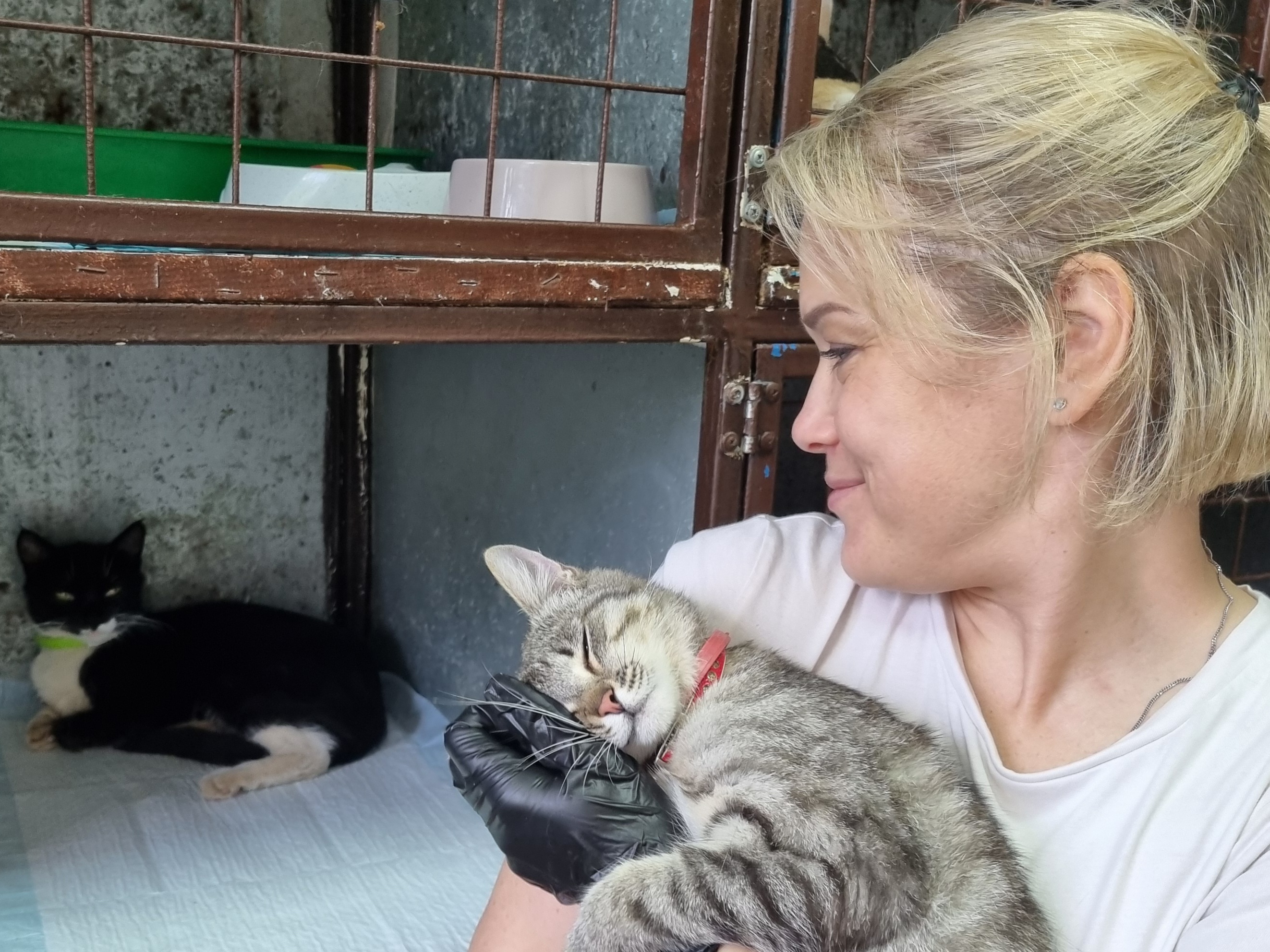 Команда волонтеров «Промомед» оказала помощь приюту для животных «Беригиня»